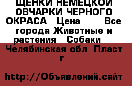 ЩЕНКИ НЕМЕЦКОЙ ОВЧАРКИ ЧЕРНОГО ОКРАСА › Цена ­ 1 - Все города Животные и растения » Собаки   . Челябинская обл.,Пласт г.